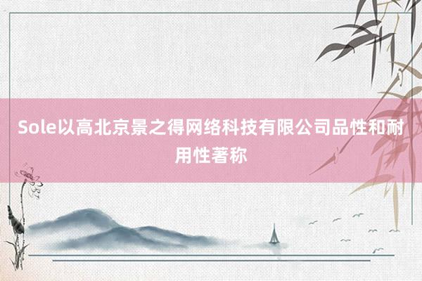 Sole以高北京景之得网络科技有限公司品性和耐用性著称